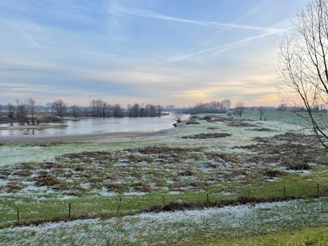laatste nieuws maasbracht: snelle update uit dorp en haven