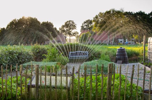 Regenton en droge, slim ingerichte Nederlandse achtertuin met waterbesparende planten